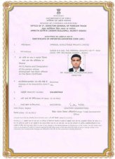 Certificate 8